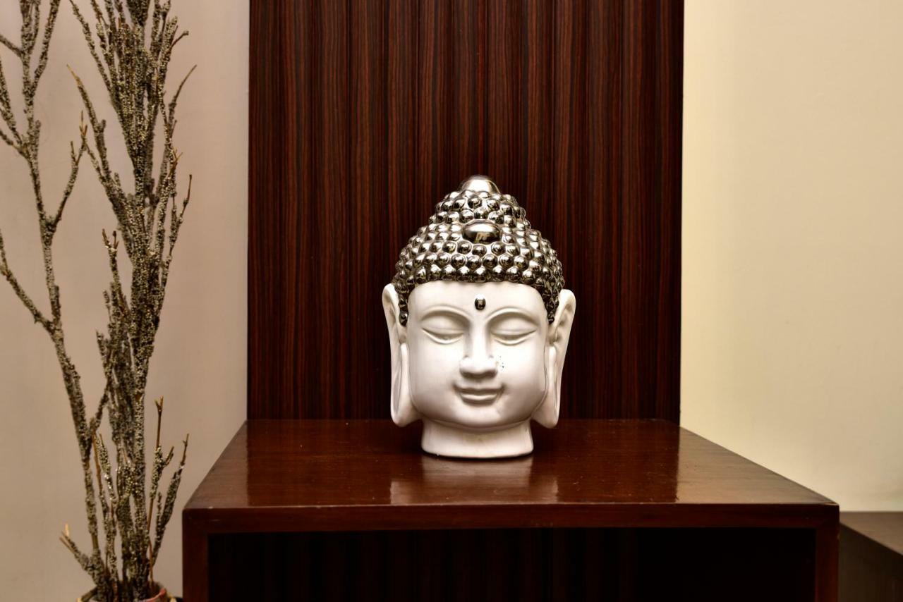 2Bhk Comfortable Furnished Serviced Apartments In Hauz Khas - Woodpecker Apartments 新德里 外观 照片